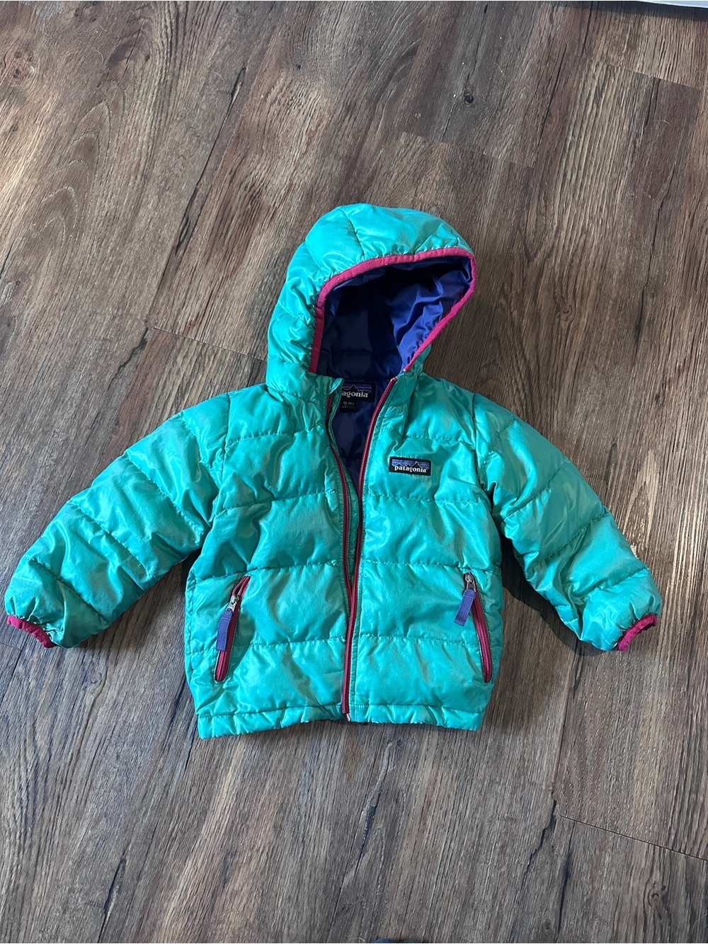 Patagonia Teal Puffer Jacket with Hood